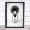 Dance Dancer Woman Female Ballet Ballerina Balance Control Wall Art Print