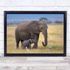 Elephant Africa Baby Family Elephants Learn Learning Teach Wall Art Print