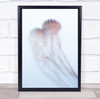 Jellyfish Underwater Bright Poison Poisonous Wildlife Wild Wall Art Print
