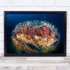 Underwater Fish School Schooling Shoaling Shoal Koh Tachai Wall Art Print