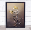 Butterfly Butterflies Bokeh Insect Insects Bug Vugs Macro Wall Art Print