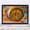 Eye Macro Lizard Gecko Close Up Round Circle Ring Reptile Wall Art Print