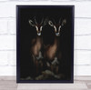 Gazelle Dark Low Key Low-Key Creative Edit Animal Animals Wall Art Print