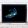 Macro Underwater Squid Sea Ocean Lembeh Dark Blue Low-Key Wall Art Print