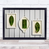 Shapes Frames Leaves Italy Leaf Frame Still Life Geometry Wall Art Print