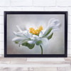 Summer Flower Garden White Yellow Japanese Flowers Floral Wall Art Print