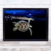 Turtle Chelonia Mydas Underwater Mayotte Island Green Sea Wall Art Print