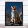 Nature Slovakia High Fox Mountains Wildlife Wild Animals Wall Art Print