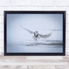 Snowy owl Owl Raptor Ontario Canada Buboscandiacus Snowy Wall Art Print