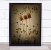 Art Creative Mood Plant Prickly Still Life Teasel Thorn Wall Art Print