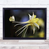 Macro Insect Animal White Yellow Flower Butterfly Flora Wall Art Print