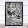 Nature Wildebeest Drop Action Smoke Fall Wildlife Cliff Wall Art Print