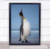 King Penguin Blue White Beach Sunset Sea Ocean Volunteer Point Wall Art Print