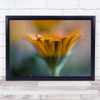 Macro Reflection Water Flower Yellow Flowers Flora Floral Drop Wall Art Print