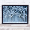 Winter Snow Belgium Ardennes Trees Tree Blue Fog Trunks Forest Wall Art Print