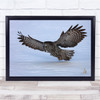 Owl Bird Snow Winter Wildlife Nature Wall Art Print