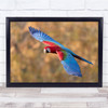 Macaw Parrot Colourful Bokeh nature Wall Art Print