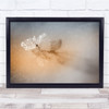Seedling Macro Seed Delicate Gentle Wall Art Print