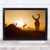 Mundari Cattle Camp Sunset Working Wall Art Print