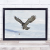 Greatgrey Owl Danger From Above Wall Art Print