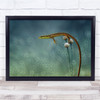 My Pose Reptile on Flowers Swim Wall Art Print