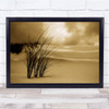 Soft reeds in sand beach Sepia Wall Art Print