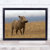 Pumba Wild Waterhog Landscape Wall Art Print