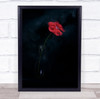 Red Flower in bottle dark Wall Art Print