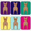 Basenji Dog Lead Holder Leash Hanger Hook Any Colour Personalised Gift