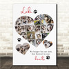 Photo Collage Pets Memorial Gift For Anyone 19-Photo Paw Prints Print Or Canvas Photo Collage Pets Memorial Gift For Anyone 19-Photo Paw Prints Print Or Canvas