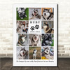 Photo Collage Pet Dog Memorial Gift For Anyone 11-Photo Paw Prints Print Canvas Photo Collage Pet Dog Memorial Gift For Anyone 11-Photo Paw Prints Print Canvas