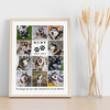 Photo Collage Pet Dog Memorial Gift For Anyone 11-Photo Paw Prints Print Canvas Photo Collage Pet Dog Memorial Gift For Anyone 11-Photo Paw Prints Print Canvas