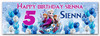 Personalised Party Banner For Kids Birthday Frozen Any Age