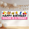Personalised Party Banner For Kids Birthday Girls Mr Men