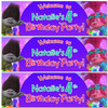 Personalised Party Banner For Kids Birthday Trolls Purple