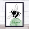 Watercolour Hand Drawn Insects Bee Framed Wall Art Print