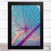 Dandelion Wish With Water Design 2 Home Wall Art Print