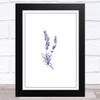 Lavender Illustration Design 5 Home Wall Art Print