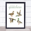 Funny Painted Duck Absolutely Quackers Watercolour Wall Art Print