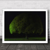 Mushroom Tree Wall Art Print