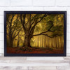 Old Tree Trees Forest Autumn Fall Tree Trunks Fog Mist Wall Art Print