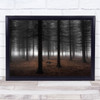 Silence Forest Tree Woods Fog Mist Trunks Wall Art Print