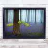 Spring Bluebells Blue Flower Flowers Spring Trees Tree Forest Grass Art Print