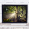 The Morning Light Field Backlight Green Rays Sunlight Wall Art Print