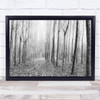 The Shape Of Trees 03 Forest Mist Winter Wall Art Print