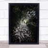 Alone With Oneself Forest Light Vigo Spain Path Leaves Leaf Wall Art Print