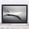 White Abstract Feather Soft Reflection Mirror Gentle Wall Art Print