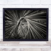 Wildlife Wild Nature Leaves Repetition Blacka White Palm Tree Wall Art Print