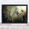 The Gift Of Existence Butterfly Flower L Wings Insect Pink Bokeh Wall Art Print