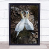 After play Gannet Gannets Northern Bird Birds Nature Wall Art Print